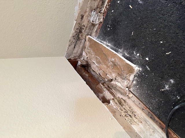 Chimney Leaks: Drywall behind baseboards with water damage, mold damage